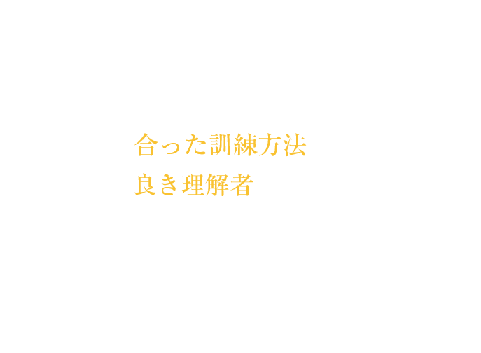 その子に合った訓練方法をわんこの良き理解者、代弁者でありたいと思っています。