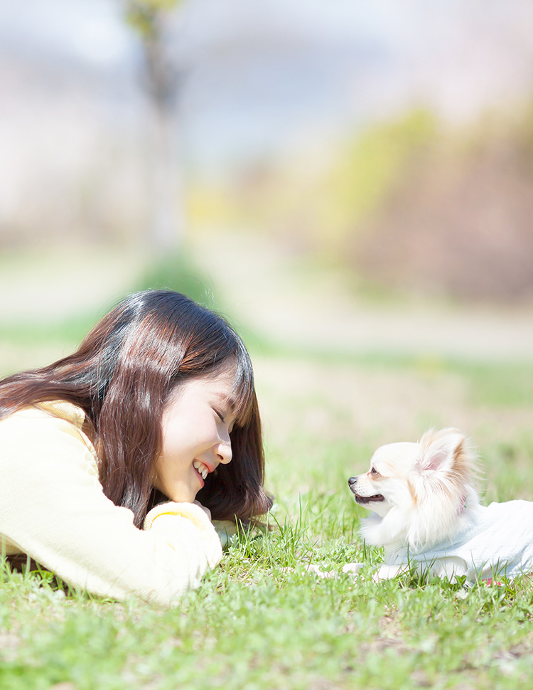 ゆみば愛犬訓練所