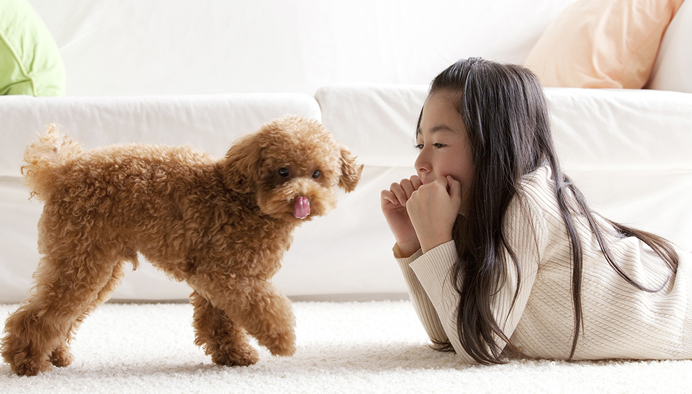 犬と少女